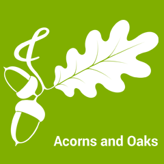 Acorns & Oaks Limited