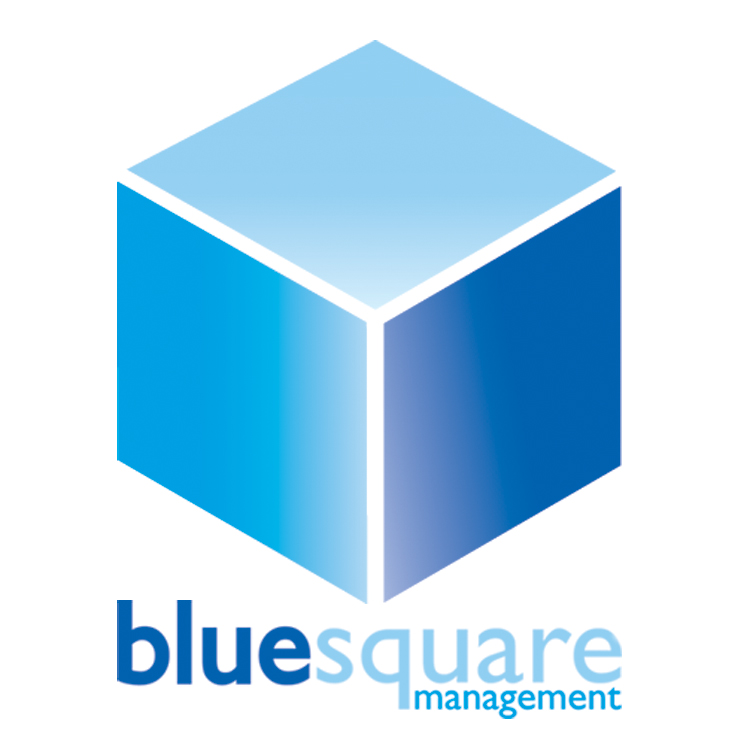 Blue Square Management