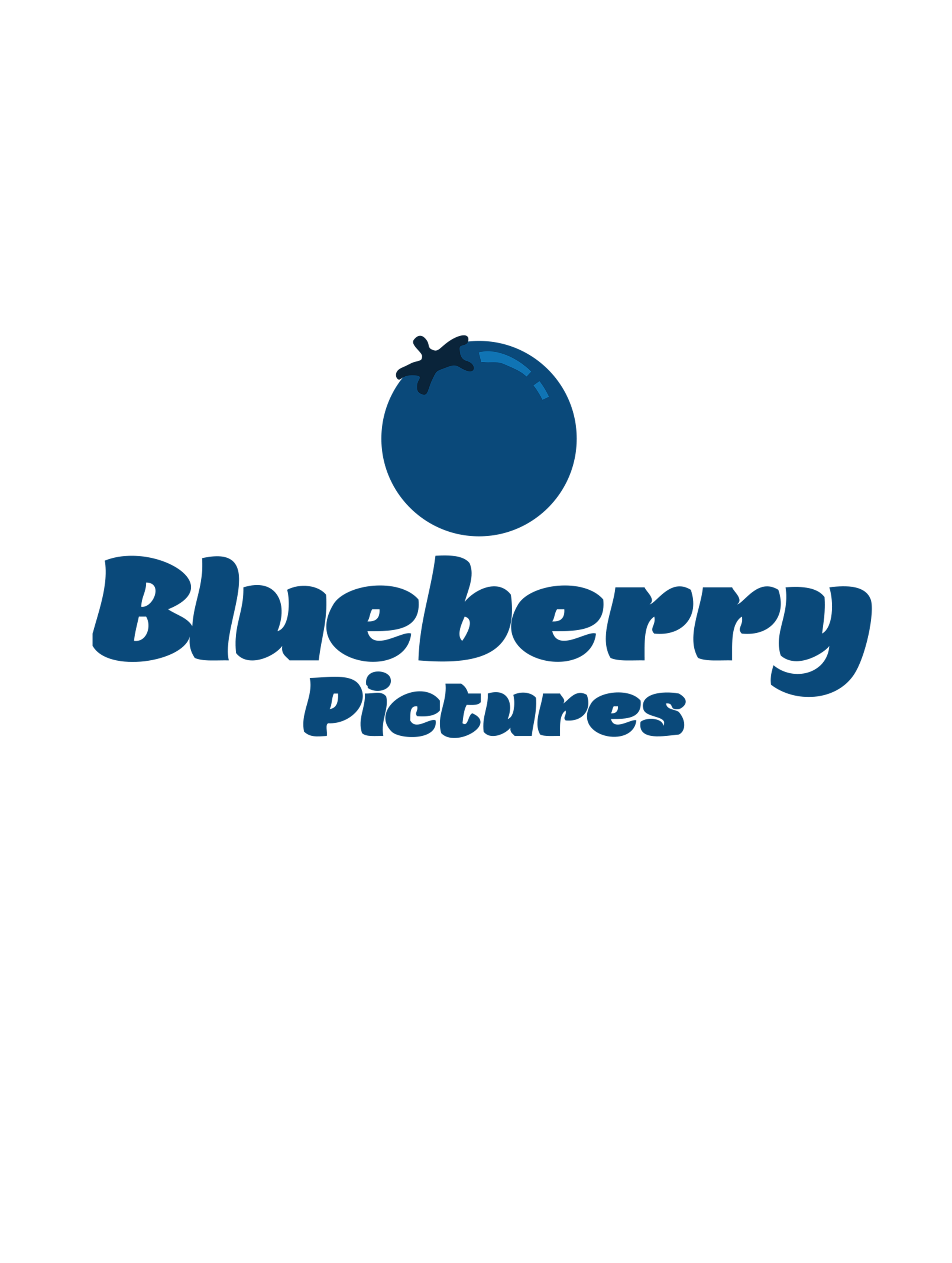 Blueberry Pictures Ltd