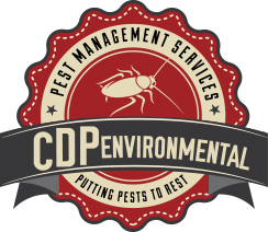 CDP Environmental Ltd