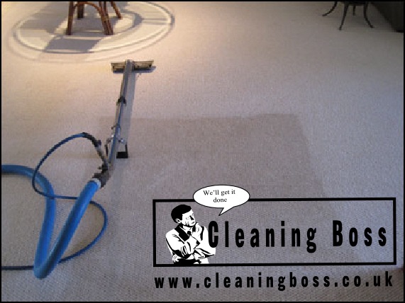Cleaning Boss