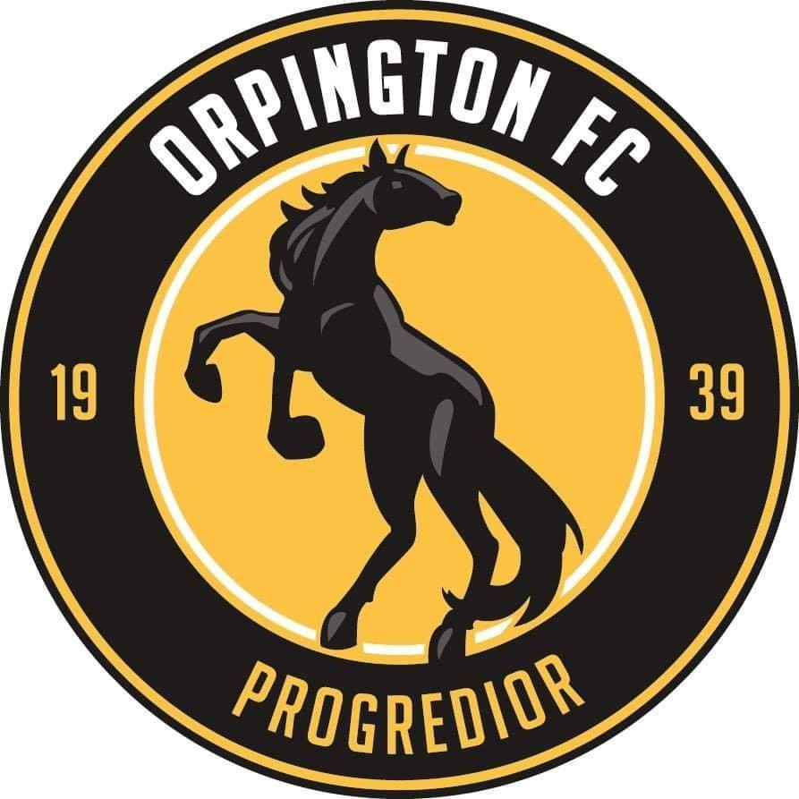 Orpington FC Under 10's