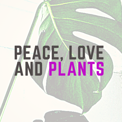 Peace, Love and Plants