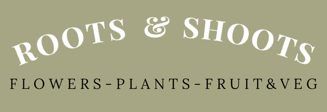 Roots & Shoots