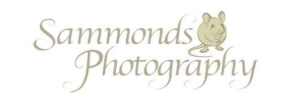 Sammonds Photography