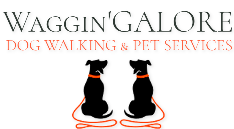 Waggin' GALORE